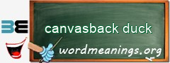 WordMeaning blackboard for canvasback duck